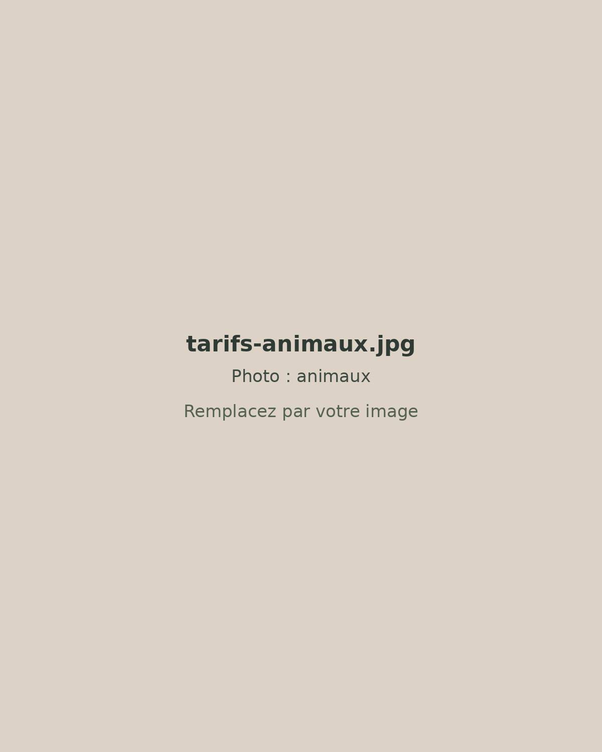 Séance animaux